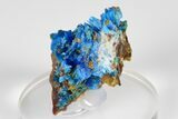 Vibrant Blue Chalcanthite - Planet Mine, Arizona #185971-2